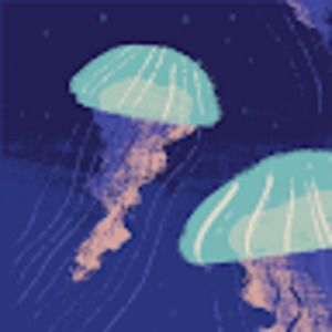 Meet your Posher, Mafer